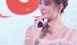 网红爆料女明星视频,真相揭秘引热议